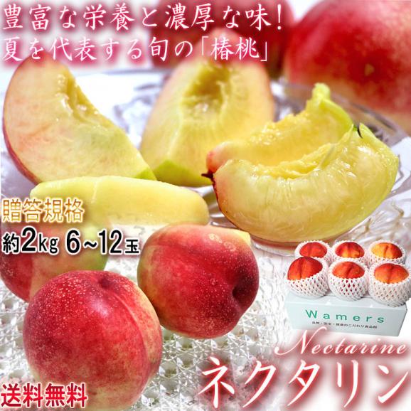 ネクタリン 約2kg 6～12玉入り 山梨県・長野県産 贈答規格 爽やかな酸味と豊かな甘さ！栄養豊富な夏のフルーツ02