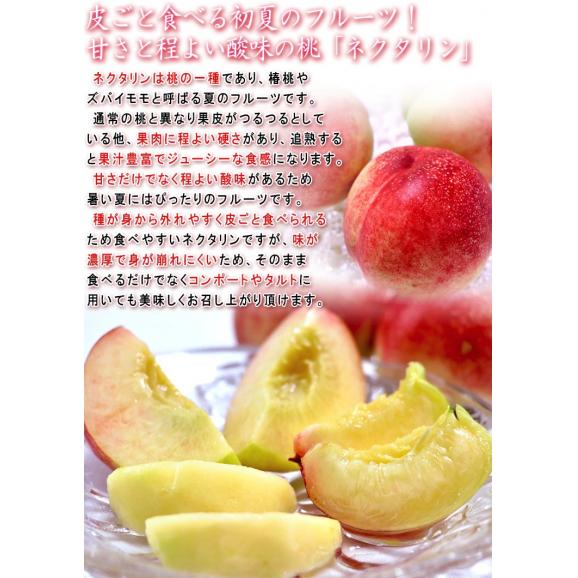 ネクタリン 約2kg 6～12玉入り 山梨県・長野県産 贈答規格 爽やかな酸味と豊かな甘さ！栄養豊富な夏のフルーツ04