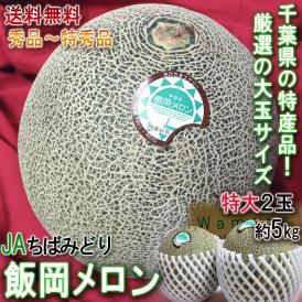 飯岡メロン 2玉入り 約4～5kg 超大玉 秀品～特秀品 贈答品 タカミ種 千葉県産 JA千葉みどり 貴味メロン 千葉特産・高糖度のギフトメロン！