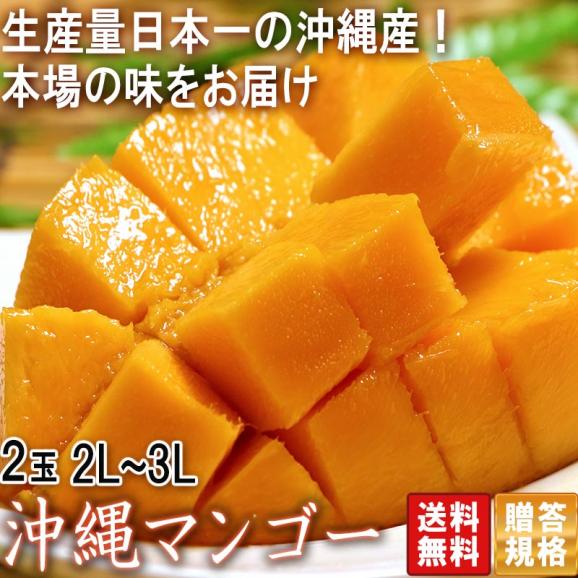 沖縄マンゴー 2玉入り 2L~3Lサイズ 秀品 贈答品 沖縄県産 JAおきなわ 抜群の味わいと濃厚な甘み!JA選果の高品質な完熟フルーツ02