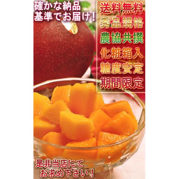 沖縄マンゴー 2玉入り 2L~3Lサイズ 秀品 贈答品 沖縄県産 JAおきなわ 抜群の味わいと濃厚な甘み!JA選果の高品質な完熟フルーツ05