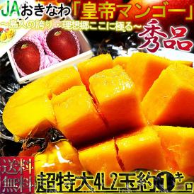 送料無料 マンゴーの出荷量日本一の沖縄が誇るギフト果物