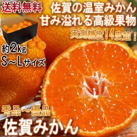 温室佐賀みかん 約2kg S～Lサイズ 佐賀県産 秀品 JAからつ 贈答規格 美しい果皮と高糖度の高級みかん！ ハウス蜜柑の聖地、佐賀のミカン
