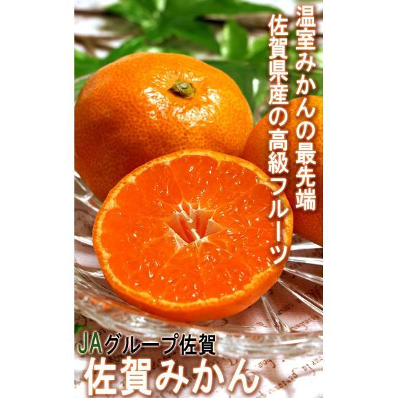 温室佐賀みかん 約2kg S～Lサイズ 佐賀県産 秀品 JAからつ 贈答規格 美しい果皮と高糖度の高級みかん！ ハウス蜜柑の聖地、佐賀のミカン02