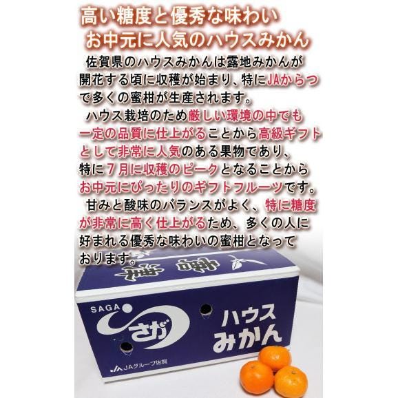 温室佐賀みかん 約2kg S～Lサイズ 佐賀県産 秀品 JAからつ 贈答規格 美しい果皮と高糖度の高級みかん！ ハウス蜜柑の聖地、佐賀のミカン04