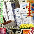 ◆小玉特価！ 千葉梨 約5kg 12～22玉前 訳あり品 幸水・豊水・あきづき・新高 なしの出荷量全国一位の千葉県産！白井・市川・船橋を始めとした厳選産地のナシ！