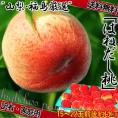 はねだし桃 訳あり 約5kg 15～22玉前後 山梨県・福島県産中心 産地厳選 お求めやすい家庭用規格！有名産地より厳選した味わい