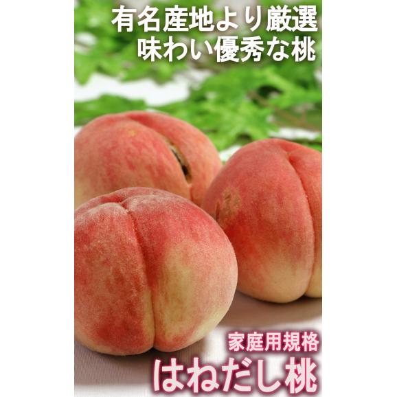 はねだし桃 訳あり 約5kg 15～22玉前後 山梨県・福島県産中心 産地厳選 お求めやすい家庭用規格！有名産地より厳選した味わい02