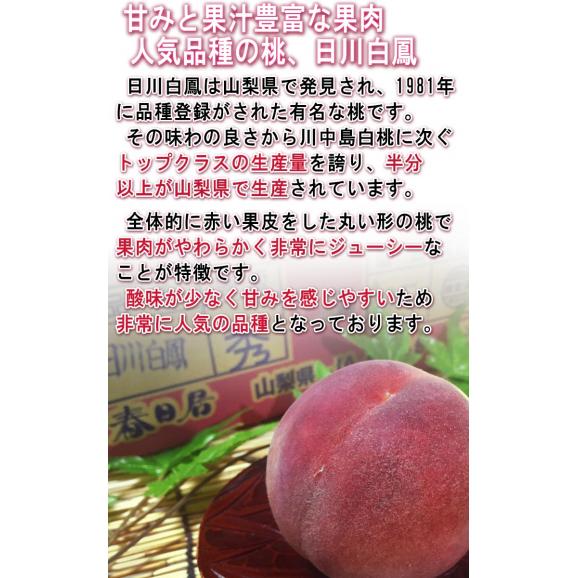 はねだし桃 訳あり 約5kg 15～22玉前後 山梨県・福島県産中心 産地厳選 お求めやすい家庭用規格！有名産地より厳選した味わい04