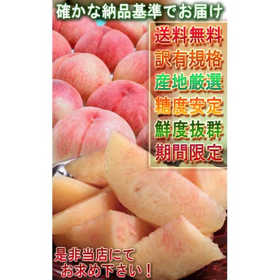 はねだし桃 訳あり 約5kg 15～22玉前後 山梨県・福島県産中心 産地厳選 お求めやすい家庭用規格！有名産地より厳選した味わい05