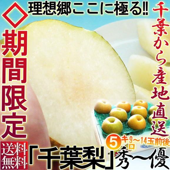 千葉梨 幸水・豊水・あきづき・新高・南水・にっこり 約5kg 9～14玉前後 贈答規格 大玉限定 秀品～優品 白井・市川・船橋など千葉の厳選産地で育てた抜群の味！02