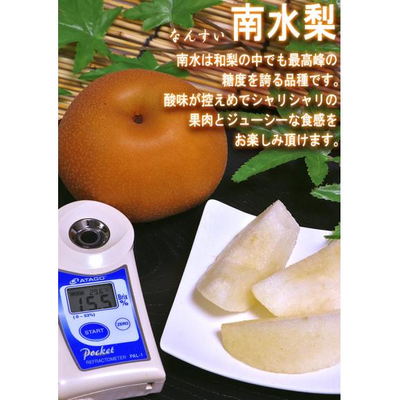 千葉梨 幸水・豊水・あきづき・新高・南水・にっこり 約5kg 9～14玉前後 贈答規格 大玉限定 秀品～優品 白井・市川・船橋など千葉の厳選産地で育てた抜群の味！05