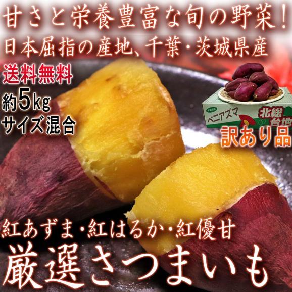 紅あずま・紅はるか・紅ゆうか さつまいも 約5kg 千葉県・茨城県産 訳あり品 濃厚な味と栄養豊富な旬の野菜！甘み溢れる薩摩芋をお届け02
