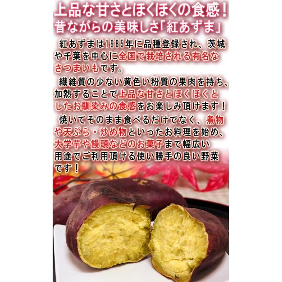 紅あずま・紅はるか・紅ゆうか さつまいも 約5kg 千葉県・茨城県産 訳あり品 濃厚な味と栄養豊富な旬の野菜！甘み溢れる薩摩芋をお届け03