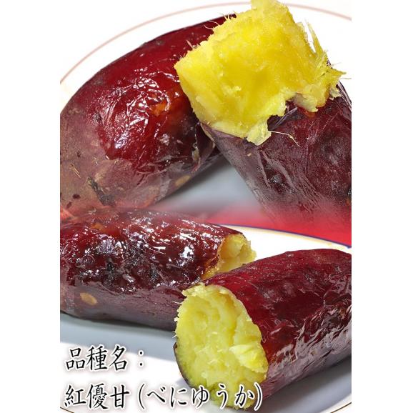 紅あずま・紅はるか・紅ゆうか さつまいも 約5kg 千葉県・茨城県産 訳あり品 濃厚な味と栄養豊富な旬の野菜！甘み溢れる薩摩芋をお届け05