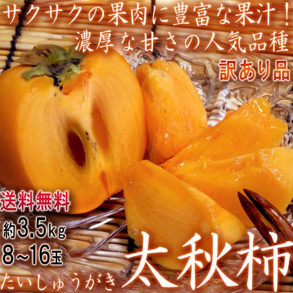 太秋柿 たいしゅうかき 約3.5kg 9～16玉入り 茨城県産中心 訳あり品 家庭用 サクサクの果肉と豊富な果汁！高糖度の完全甘柿02