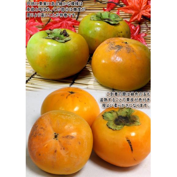 太秋柿 たいしゅうかき 約3.5kg 9～16玉入り 茨城県産中心 訳あり品 家庭用 サクサクの果肉と豊富な果汁！高糖度の完全甘柿03