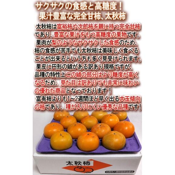 太秋柿 たいしゅうかき 約3.5kg 9～16玉入り 茨城県産中心 訳あり品 家庭用 サクサクの果肉と豊富な果汁！高糖度の完全甘柿04