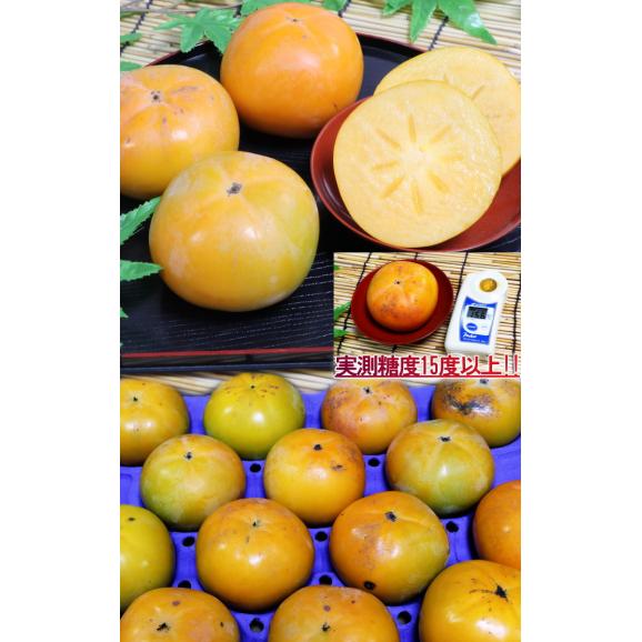 太秋柿 たいしゅうかき 約3.5kg 9～16玉入り 茨城県産中心 訳あり品 家庭用 サクサクの果肉と豊富な果汁！高糖度の完全甘柿05