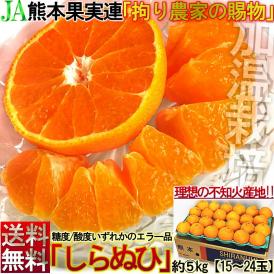 不知火 しらぬい 約5kg 15～24玉 熊本県産 贈答規格 JAくまもと 濃厚な甘さと程よい酸味の人気品種！本場で育てた抜群の味