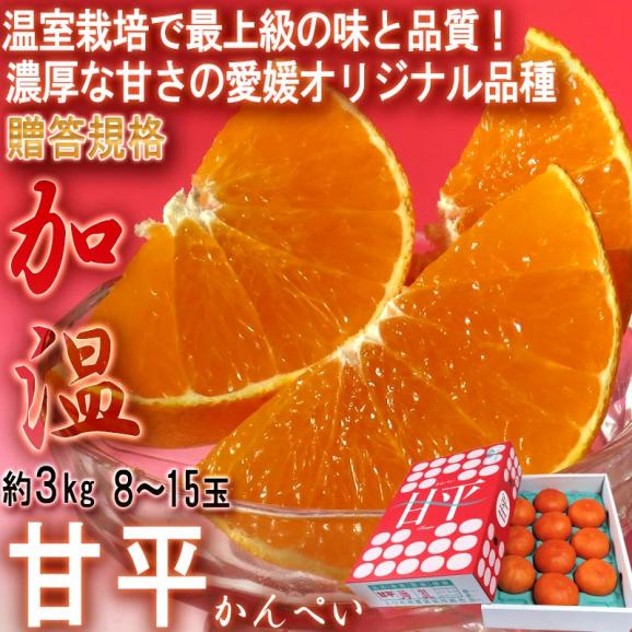 甘平 かんぺい 約3kg 愛媛県産 秀品 JAえひめ南 加温栽培 贈答最適 化粧箱入り 温室栽培で最上級の品質！JAえひめ南のギフトフルーツ02