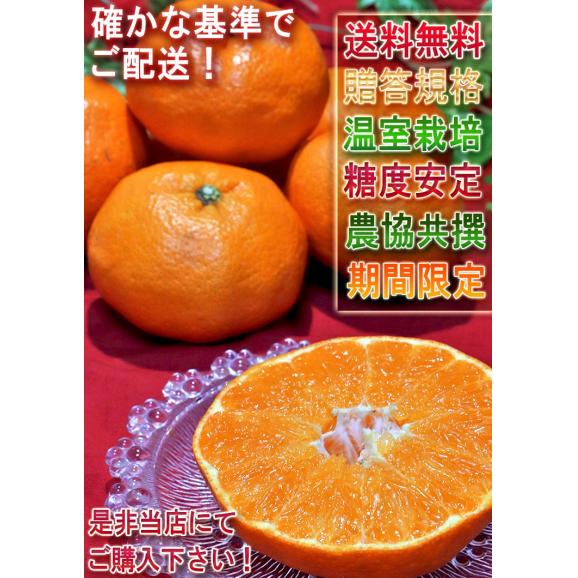 甘平 かんぺい 約3kg 愛媛県産 秀品 JAえひめ南 加温栽培 贈答最適 化粧箱入り 温室栽培で最上級の品質！JAえひめ南のギフトフルーツ06