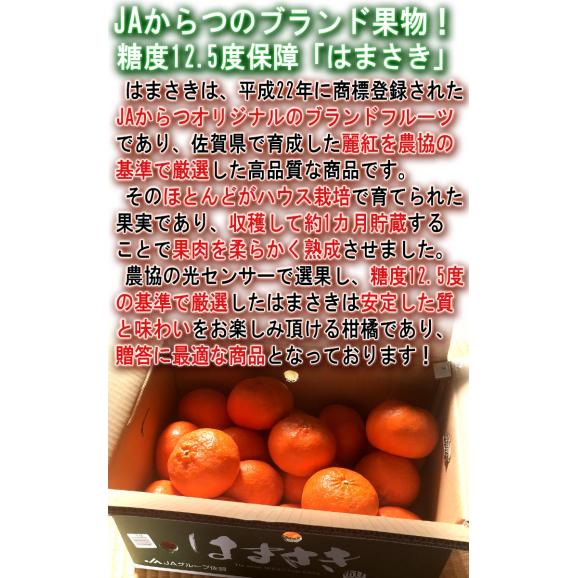 厳選はまさき 5~7玉入り 3~4Lサイズ 佐賀県産 大玉規格 JAからつ 贈答品 糖度保証のブランドフルーツ!大玉・秀品厳選のギフト果物03