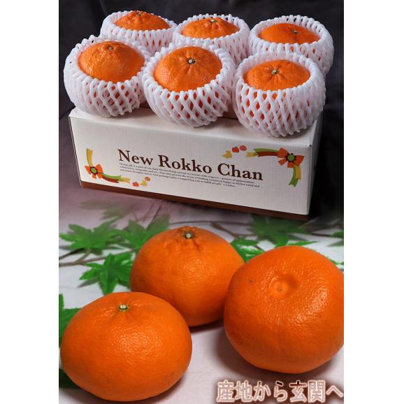 厳選はまさき 5~7玉入り 3~4Lサイズ 佐賀県産 大玉規格 JAからつ 贈答品 糖度保証のブランドフルーツ!大玉・秀品厳選のギフト果物04