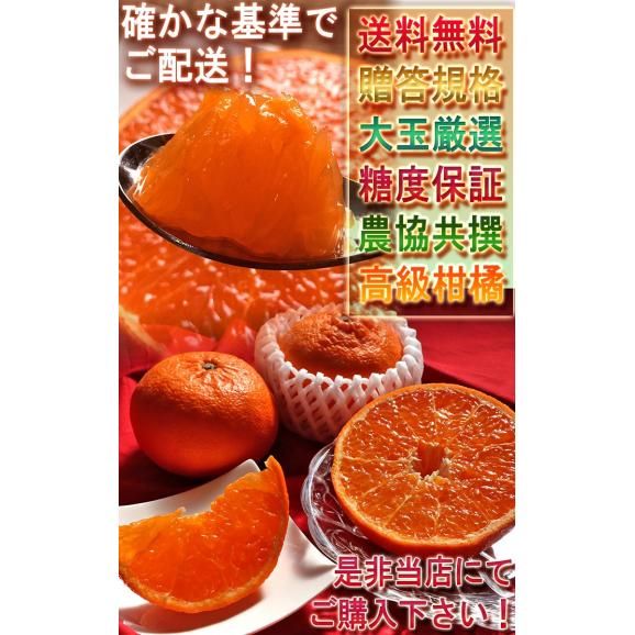 厳選はまさき 5~7玉入り 3~4Lサイズ 佐賀県産 大玉規格 JAからつ 贈答品 糖度保証のブランドフルーツ!大玉・秀品厳選のギフト果物05