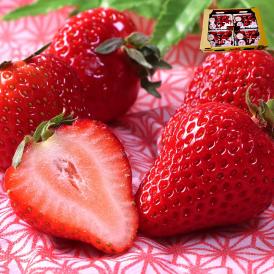 さくらももいちご 200g×4パック入り 徳島県産 贈答品 JA徳島市 とくしま特選ブランドの高級フルーツ！高い糖度と濃厚な味わいのプレミア苺