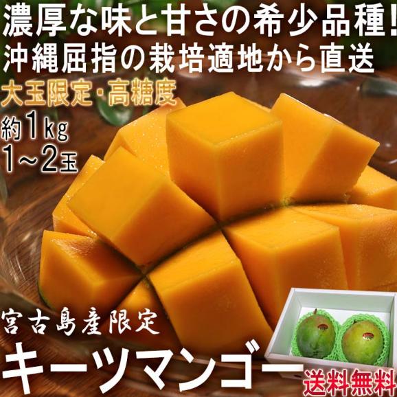 産地直送 宮古島キーツマンゴー 約1kg 1～2玉 沖縄県産 大玉で高糖度の貴重なフルーツ 鮮度抜群でお届けする絶品の味わい！ 02