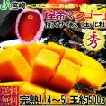 宮崎マンゴー 完熟限定 皇帝マンゴー 1玉入り 4～5Lサイズ 宮崎県産 秀品 JA宮崎中央 贈答品 温室栽培 国産・完熟ならではの抜群の甘さと豊かな香り！