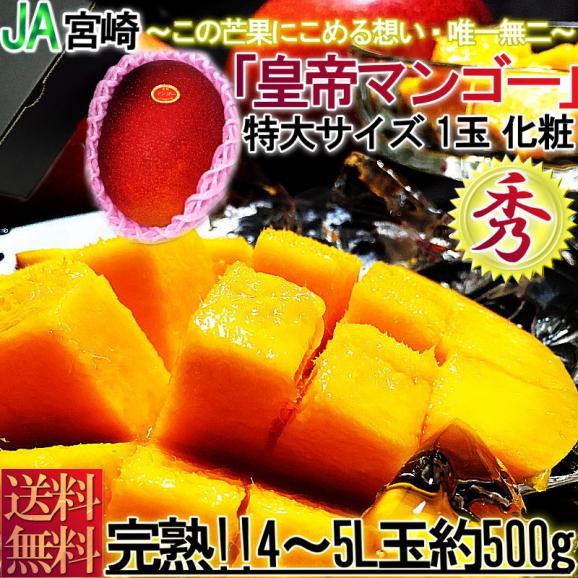 宮崎マンゴー 完熟限定 皇帝マンゴー 1玉入り 4～5Lサイズ 宮崎県産 秀品 JA宮崎中央 贈答品 温室栽培 国産・完熟ならではの抜群の甘さと豊かな香り！02