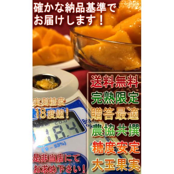 宮崎マンゴー 完熟限定 皇帝マンゴー 1玉入り 4～5Lサイズ 宮崎県産 秀品 JA宮崎中央 贈答品 温室栽培 国産・完熟ならではの抜群の甘さと豊かな香り！05