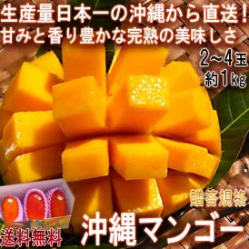 産地直送 沖縄マンゴー 約1kg 2～4玉 沖縄県産 贈答規格 個人農家産 南国の日差しで抜群の味！日本一の出荷量を誇る本場の美味しさ