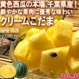 クリームこだま西瓜 黄色スイカ 約3～4kg 2～4玉 千葉県産中心 贈答規格 秀～優品 実測糖度11度の豊かな甘さ！