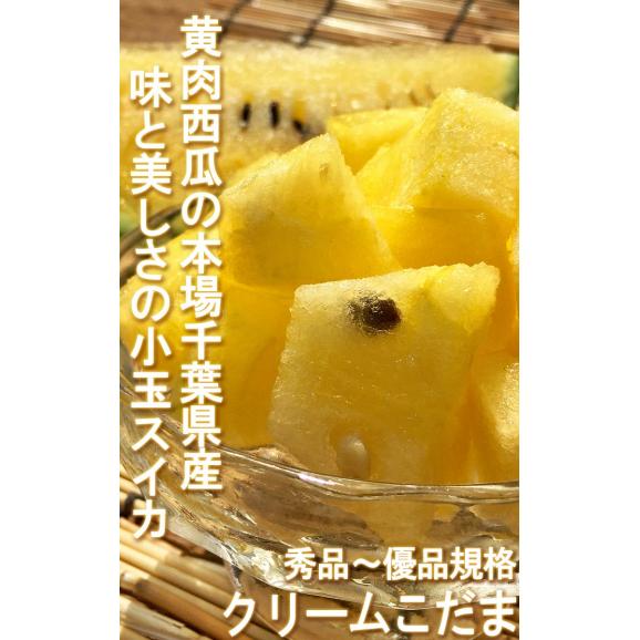 クリームこだま西瓜 黄色スイカ 約3~4kg 2~4玉 千葉県産中心 贈答規格 秀~優品 実測糖度11度の豊かな甘さ!02