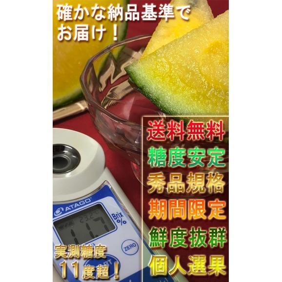 クリームこだま西瓜 黄色スイカ 約3~4kg 2~4玉 千葉県産中心 贈答規格 秀~優品 実測糖度11度の豊かな甘さ!05