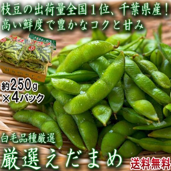 枝豆 厳選えだまめ 約250g×4パック 千葉県産 冷蔵便出荷 枝豆の出荷量日本一の千葉県産！新鮮な旬の品種を厳選してお届け02