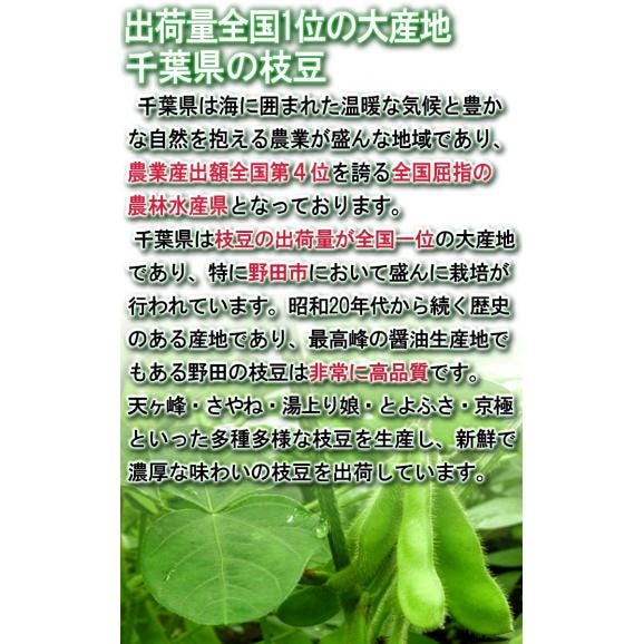 枝豆 厳選えだまめ 約250g×4パック 千葉県産 冷蔵便出荷 枝豆の出荷量日本一の千葉県産！新鮮な旬の品種を厳選してお届け03