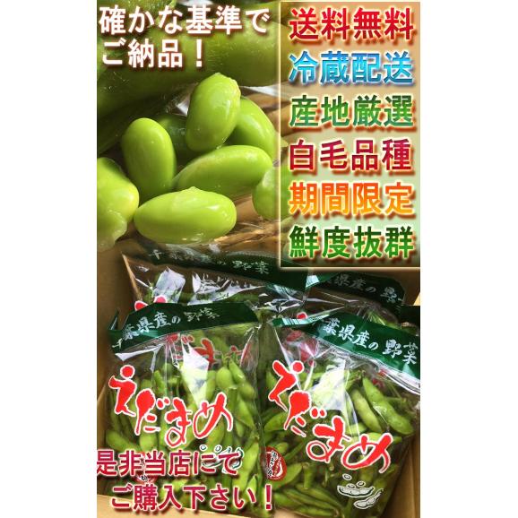 枝豆 厳選えだまめ 約250g×4パック 千葉県産 冷蔵便出荷 枝豆の出荷量日本一の千葉県産！新鮮な旬の品種を厳選してお届け05
