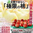 お中元ギフト 極限の桃 約5kg 大玉限定 10～16玉前後 山梨県産 白鳳・白桃・加野岩白桃・浅間白桃・川中島白桃・なつっこ・あかつき等品種リレー