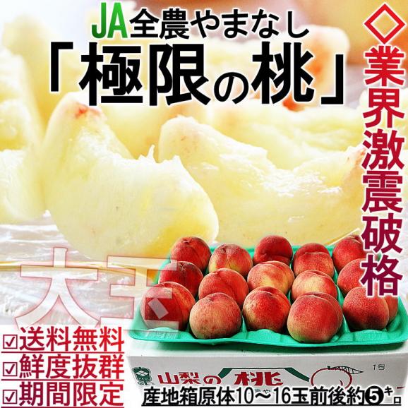 お中元ギフト 極限の桃 約5kg 大玉限定 10~16玉前後 山梨県産 白鳳・白桃・加野岩白桃・浅間白桃・川中島白桃・なつっこ・あかつき等品種リレー02