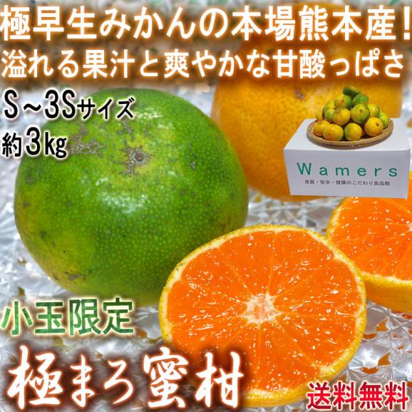 極まろ蜜柑 グリーン温州みかん 約3kg S～3Sサイズ 小玉限定 熊本県産 個人農家産中心 極早生ミカンの聖地、熊本産！緑の果実に豊富な果汁と爽やかな甘さ02