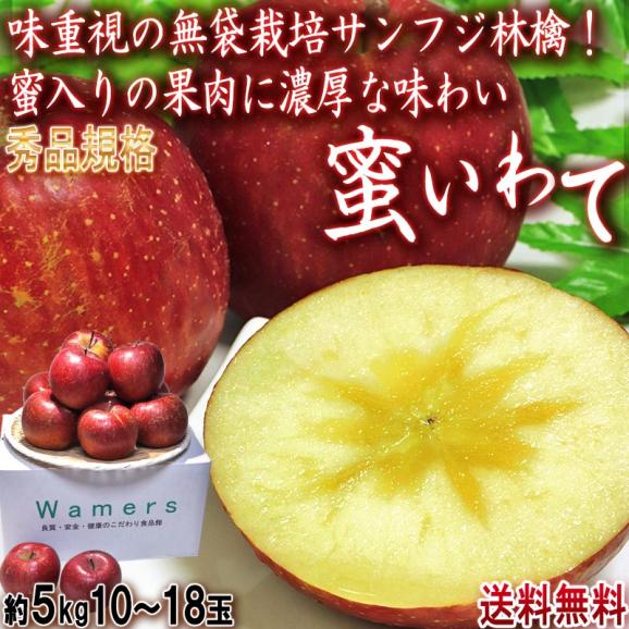 蜜いわて サンフジ林檎 約5kg 10～18玉 岩手県産 秀品 濃厚な味と蜜入りの果肉！美味しさ重視の岩手りんご02