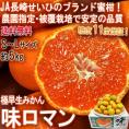 味ロマン 極早生みかん 約5kg S～Lサイズ 長崎県産 糖度11度保証 JA長崎せいひ 農園指定・被覆栽培で抜群の味わい！糖度センサー選果のブランド蜜柑
