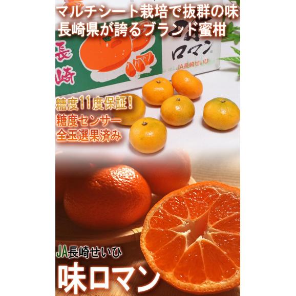 味ロマン 極早生みかん 約5kg S～Lサイズ 長崎県産 糖度11度保証 JA長崎せいひ 農園指定・被覆栽培で抜群の味わい！糖度センサー選果のブランド蜜柑02