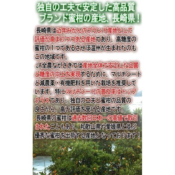 味ロマン 極早生みかん 約5kg S～Lサイズ 長崎県産 糖度11度保証 JA長崎せいひ 農園指定・被覆栽培で抜群の味わい！糖度センサー選果のブランド蜜柑03