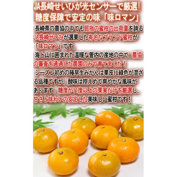 味ロマン 極早生みかん 約5kg S～Lサイズ 長崎県産 糖度11度保証 JA長崎せいひ 農園指定・被覆栽培で抜群の味わい！糖度センサー選果のブランド蜜柑04
