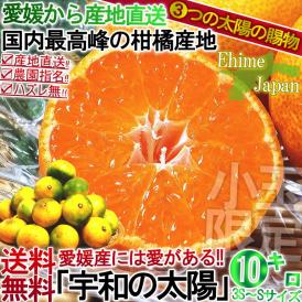 産地直送 宇和の太陽 極早生みかん 約10kg 3S～Sサイズ 愛媛県産 柑橘 温州ミカン 3つの太陽マルチシート栽培!! 
